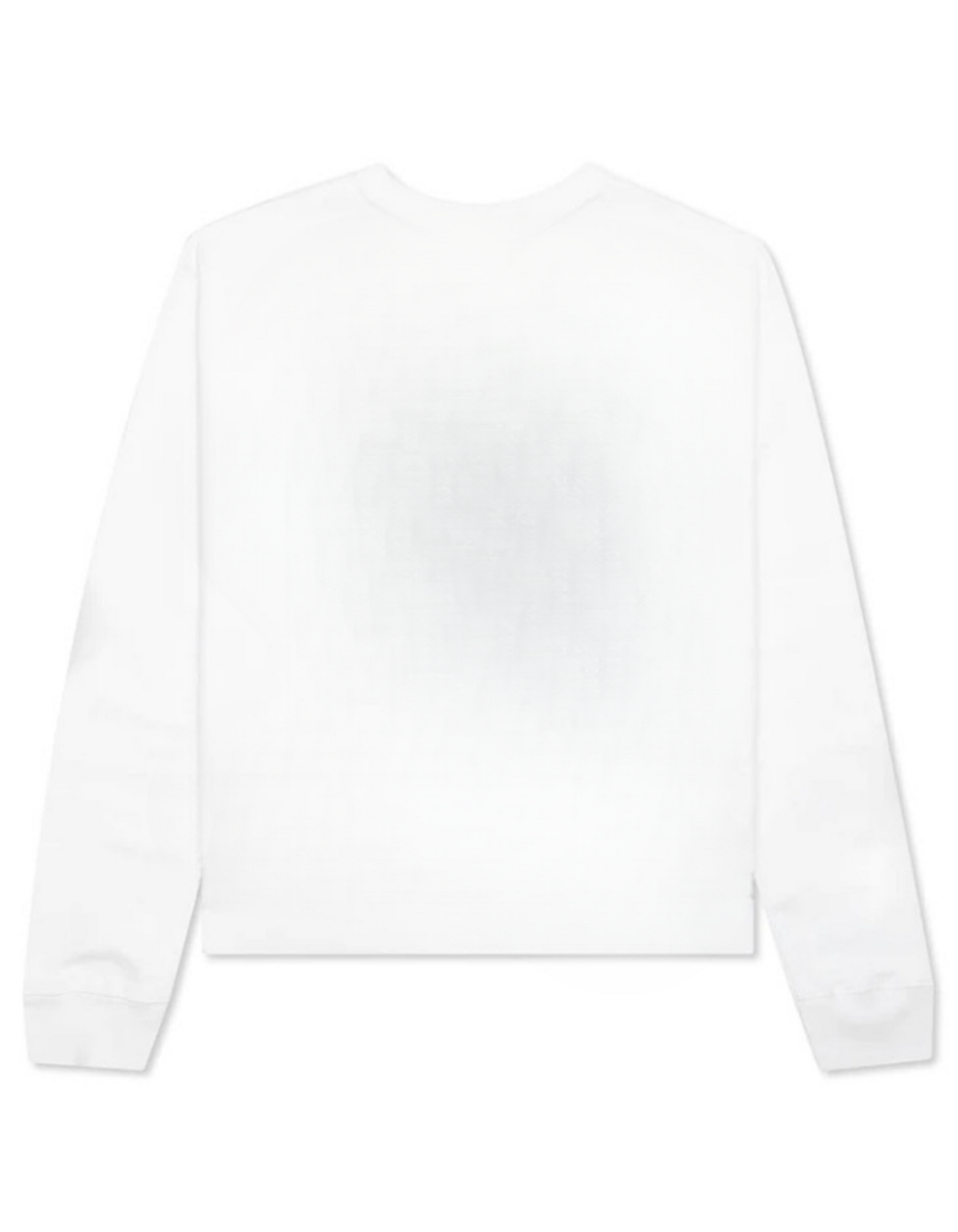 “DANNIS RODMAN” SWEATSHIRT - Amessio